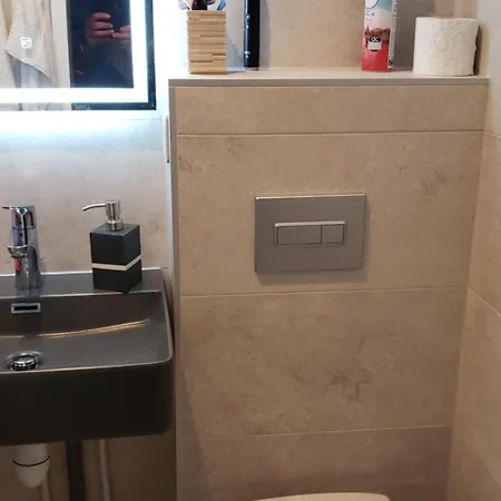 Bel Entier En Style A Chamonix